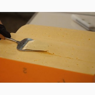 Сирний продукт, сир твердий, ДСТУ 4421:2005