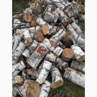 Купити дрова за найкращою ціною в Луцьку