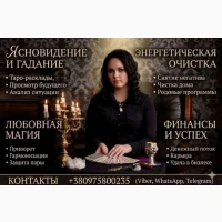 Business Astrology Dubai