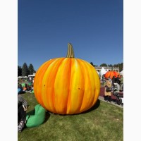 Декорации улиц надувные для оформления сцены, рекламы