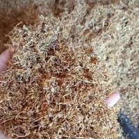 Тютюн, табак - оптом та в роздріб по самим вигідним цінам. Знижки. Акція