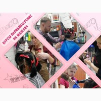 Станьте востребованным парикмахером с нуля: обучение с практикой на моделях в Харькове