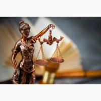 Адвокат по семейным делам Виноградарь. Развод чеpез суд