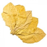 Tobacco Leaf Shop: натуральний листовий тютюн найвищої якості