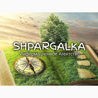 Аналитическая часть ВКР на заказ в Украине