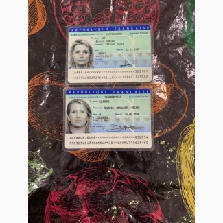 Registered license, drivers license, ID cards, Social cards, visas, biometric passport