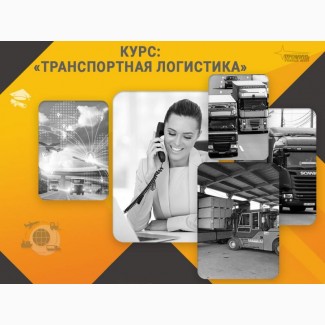 Курс «Транспортная логистика»: профессия с высоким спросом за несколько недель