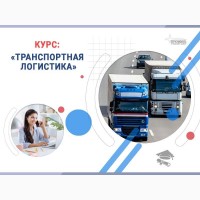 Курс «Транспортная логистика»: профессия с высоким спросом за несколько недель