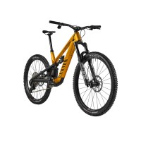 2025 Canyon Spectral:ONfly CF CLLCTV Mountain Bike (INDORACYCLES)