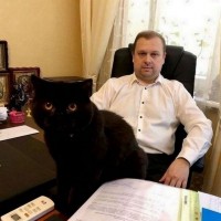 Услуги адвоката при ДТП.Помощь адвоката Киев