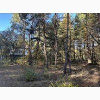 Продаж ділянки 10 сот. Київ у лісі