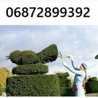 Декоративна стрижка туй - надаємо саду ідеальної форми