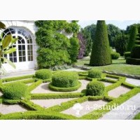 Декоративна стрижка туй - надаємо саду ідеальної форми