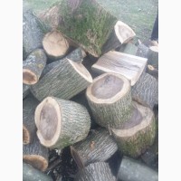 Продаж та доставка дубові дрова у Луцьку та Волинській області