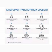 Получите украинские водительские права быстро и официально