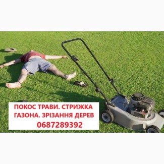 Покіс трави: Київ, Київська область та Біла Церква. Швидко, якісно, доступно