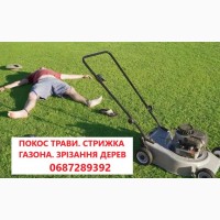 Покіс трави: Київ, Київська область та Біла Церква. Швидко, якісно, доступно