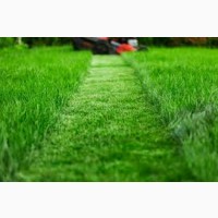 Покіс трави: Київ, Київська область та Біла Церква. Швидко, якісно, доступно