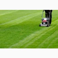 Покіс трави: Київ, Київська область та Біла Церква. Швидко, якісно, доступно