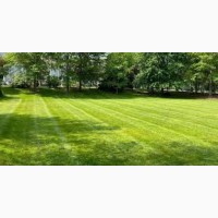 Покіс трави: Київ, Київська область та Біла Церква. Швидко, якісно, доступно