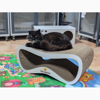 Котоготель у центрі Києва – турбота, комфорт і любов для вашого улюбленця