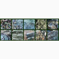 Купуємо склобій, бите скло (стеклобой, м. Харків)