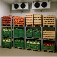 Універсальна холодильна камера для продуктів -10С+10С, морозилка