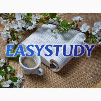 Замовити практичну частину магістерської роботи в Україні