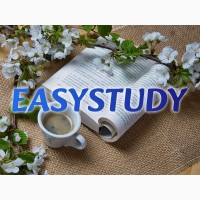 Замовити практичну частину магістерської роботи в Україні