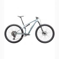 2025 Specialized Epic 8 EVO Comp - Mountain Bike