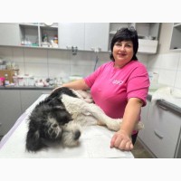 Ветклініка SOS - доступна допомога тваринам