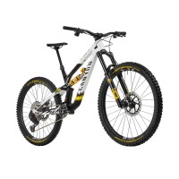 2024 Canyon Torque CF CLLCTV FW Mountain Bike (INDORACYCLES)