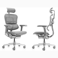Элитное кресло Ergohuman Luxury 2 EHL2-AB-HAM-5D-L Серый