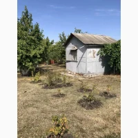 Продам дачу, Валківський район