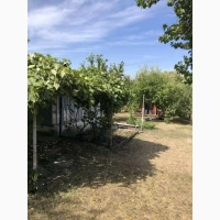 Продам дачу, Валківський район